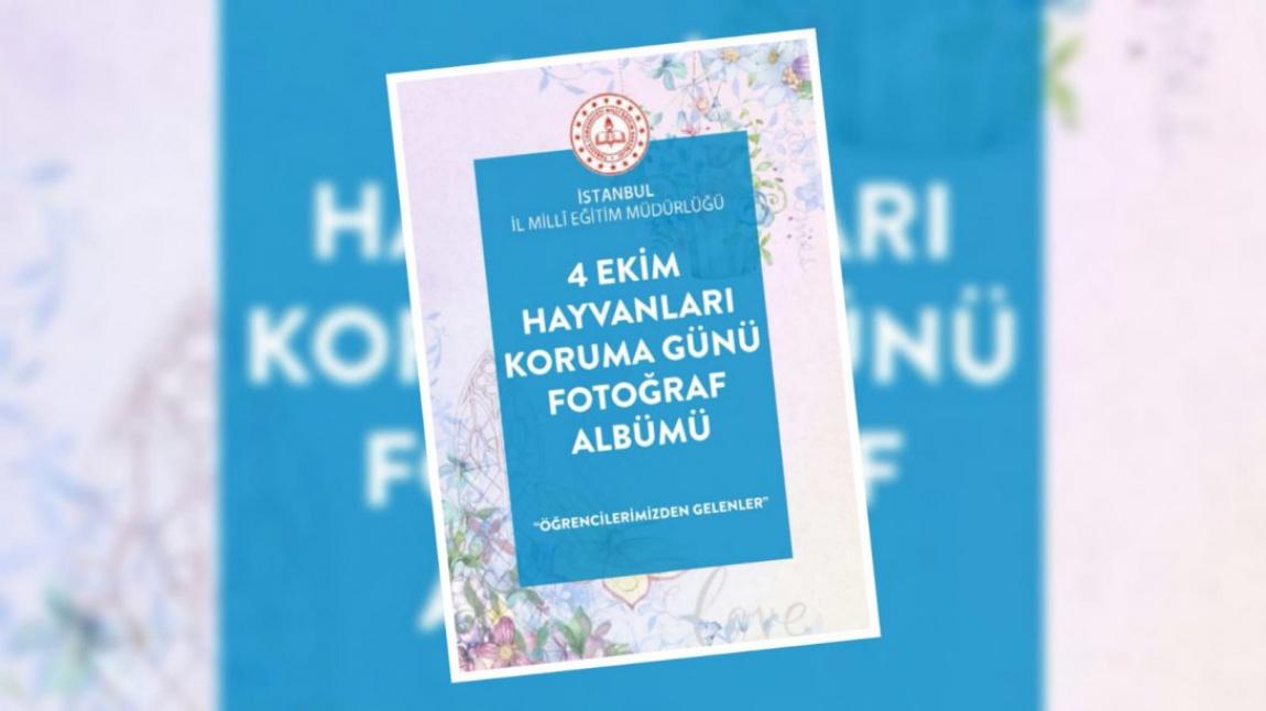 İstanbul İl Milli Eğitim Müdürlüğü'nün 4 Ekim Hayvanları Koruma Günü münasebeti ile paylaştığı resim albümü...